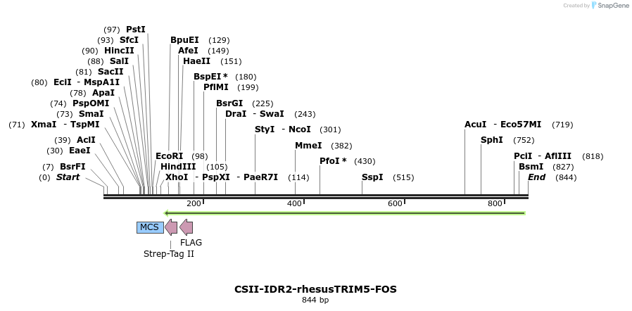 153374_map