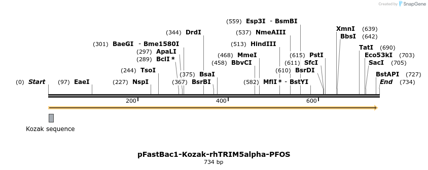 153377_map