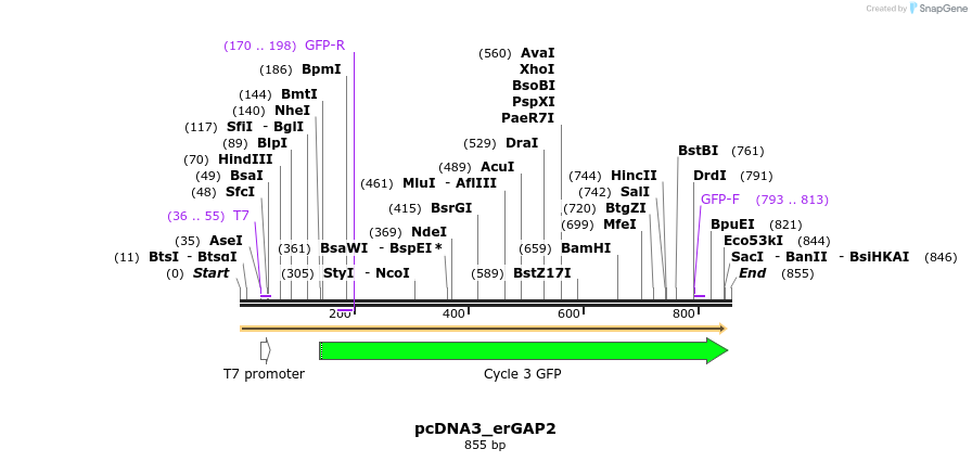 153379_map