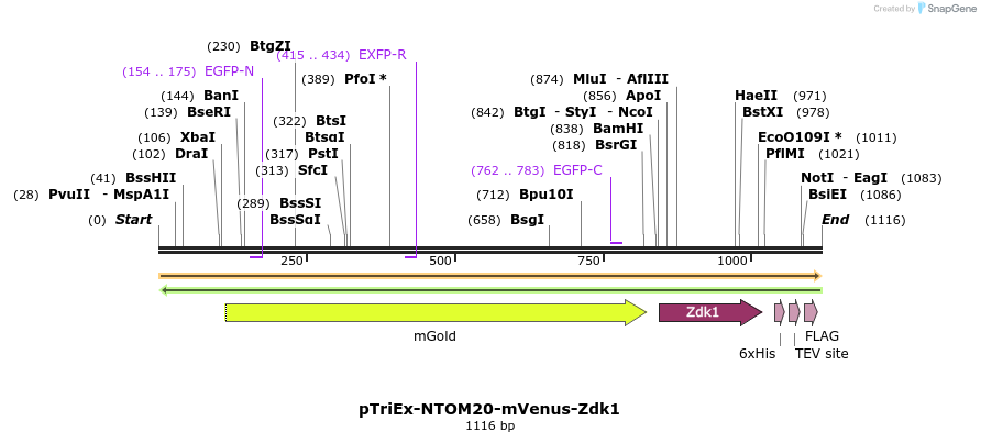 153391_map