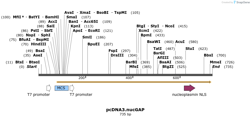 153396_map