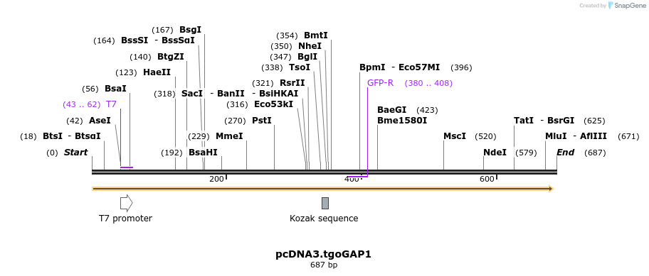 153400_map