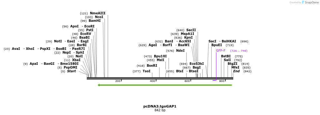 153401_map