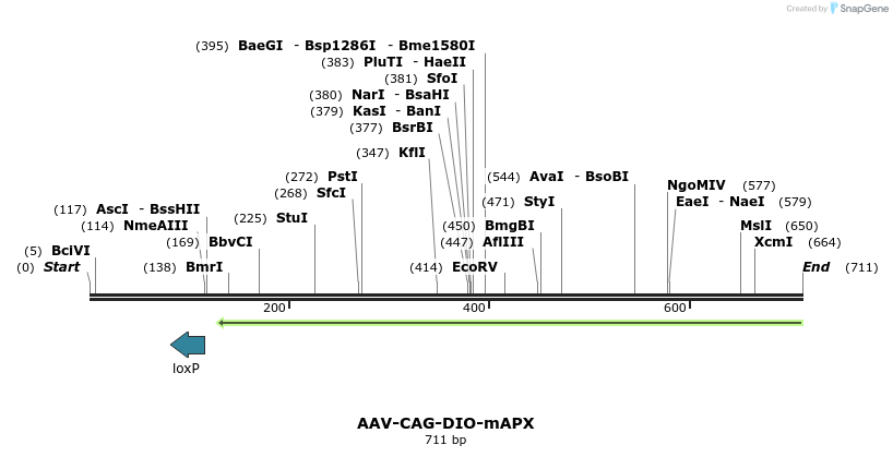 153409_map