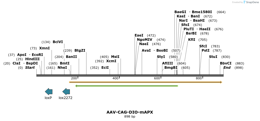 153410_map