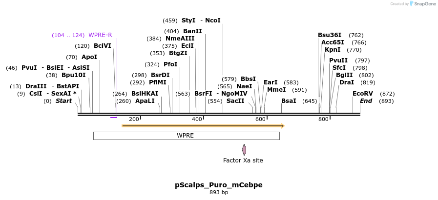 153412_map