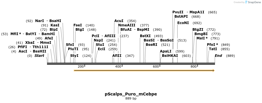153417_map
