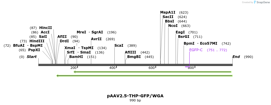153425_map