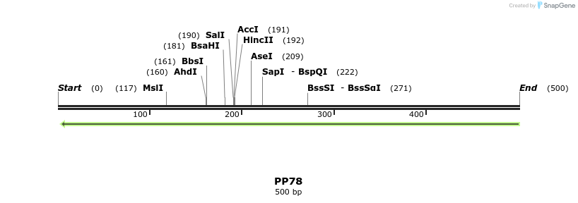 153444_map