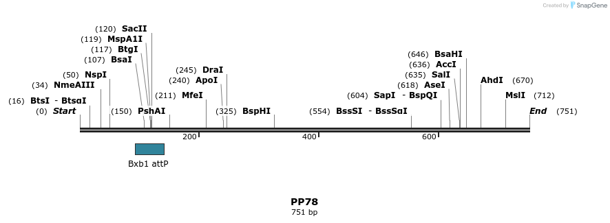 153445_map