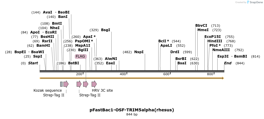 153458_map