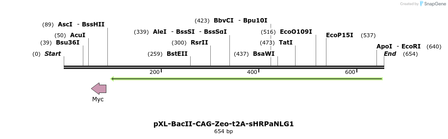 153467_map