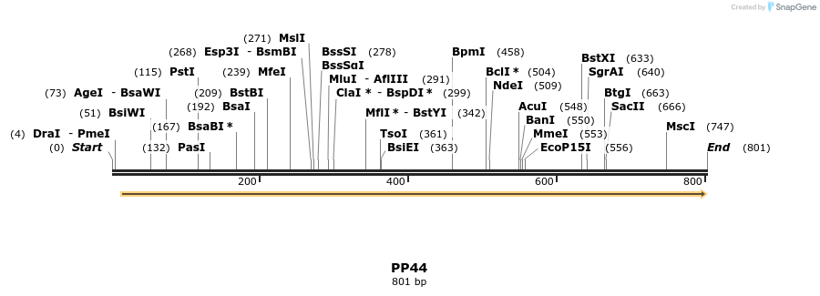 153475_map