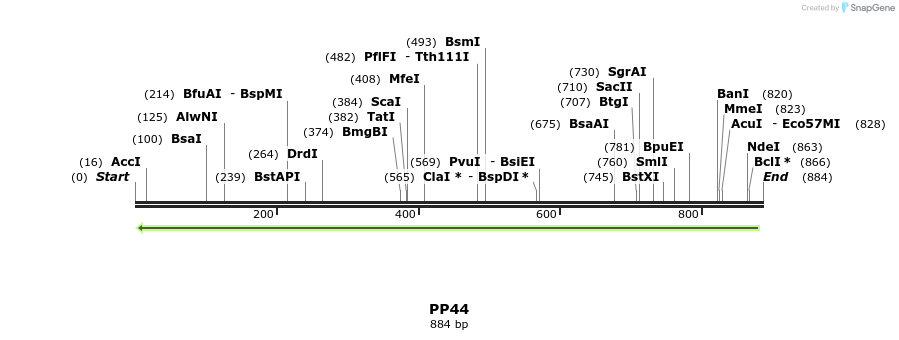 153478_map