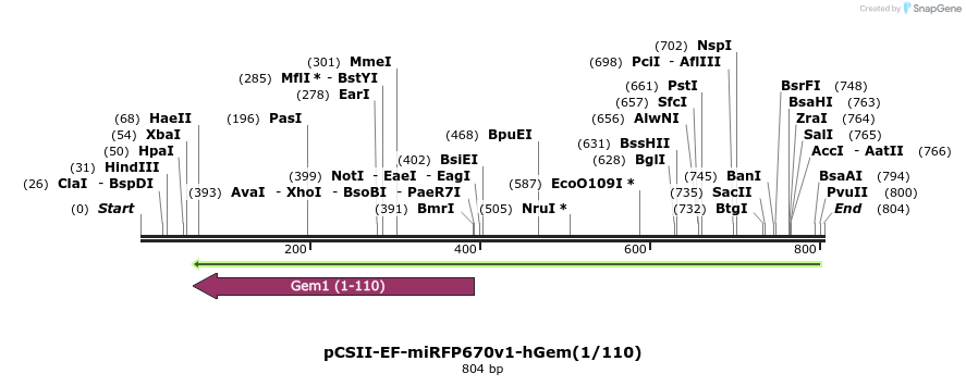 153492_map