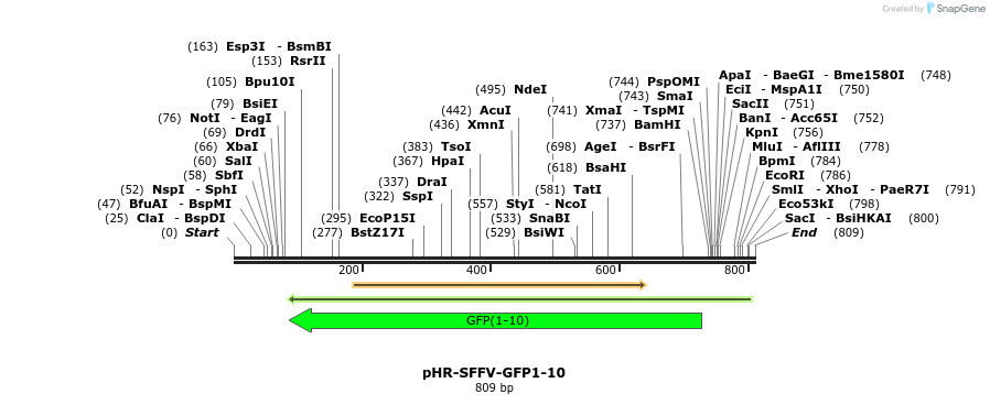 153515_map
