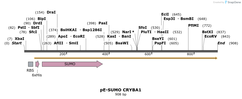 153526_map