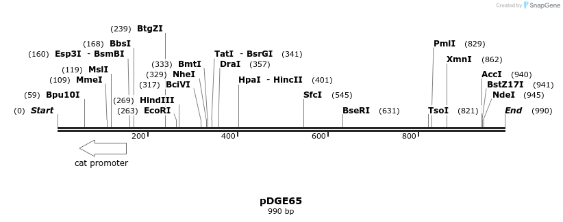 153534_map