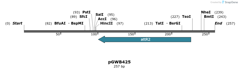153549_map