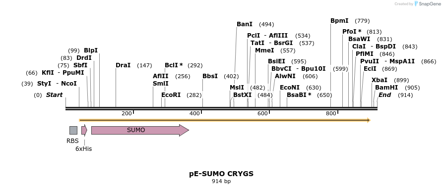153558_map