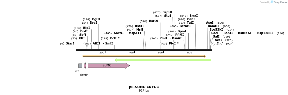 153562_map