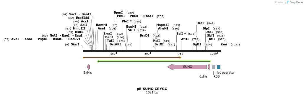 153563_map