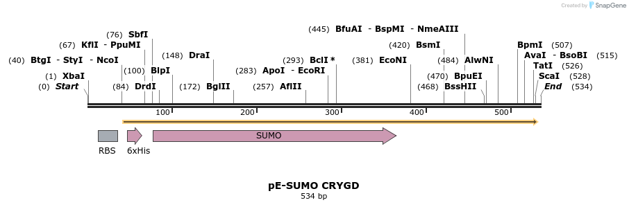 153568_map