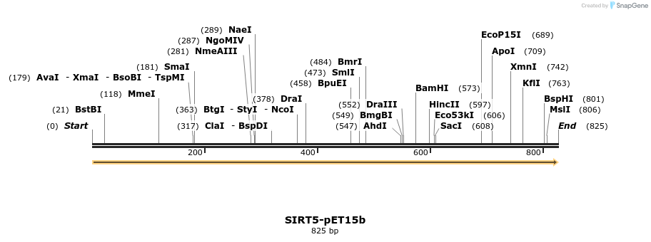 153574_map