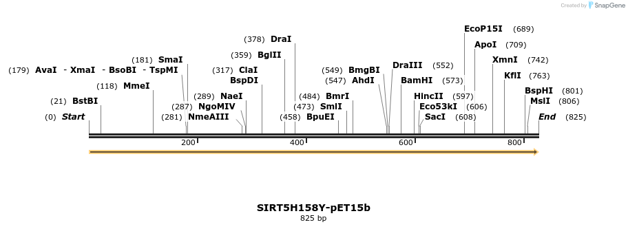 153577_map