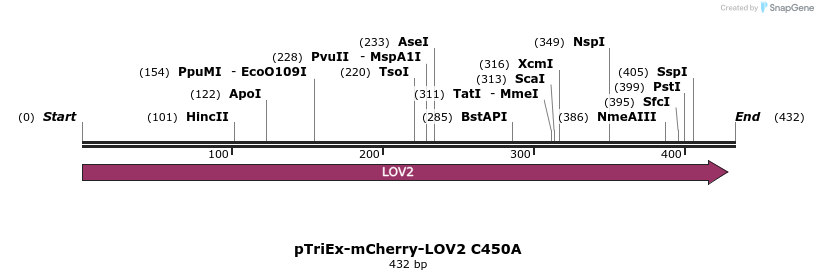 153578_map