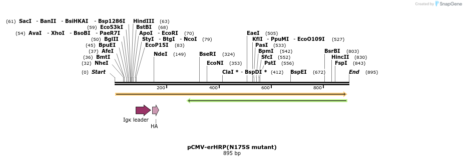153587_map