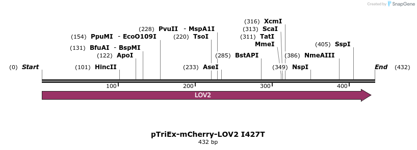 153592_map