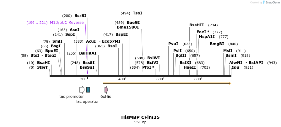 153598_map