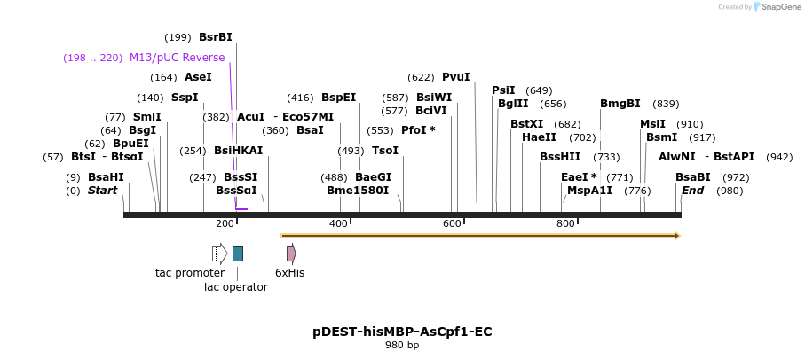153602_map