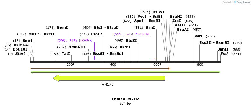 153606_map