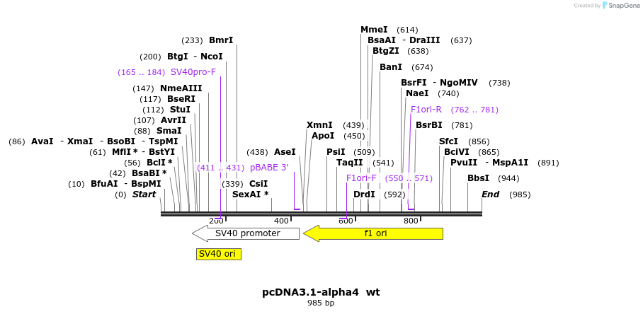 153611_map