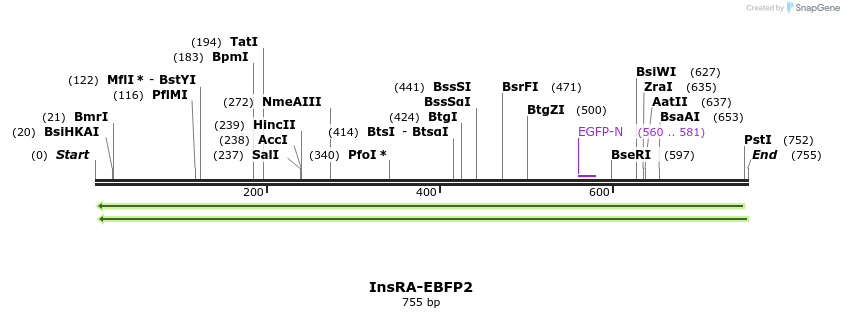 153613_map