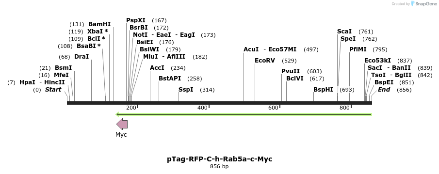 153634_map