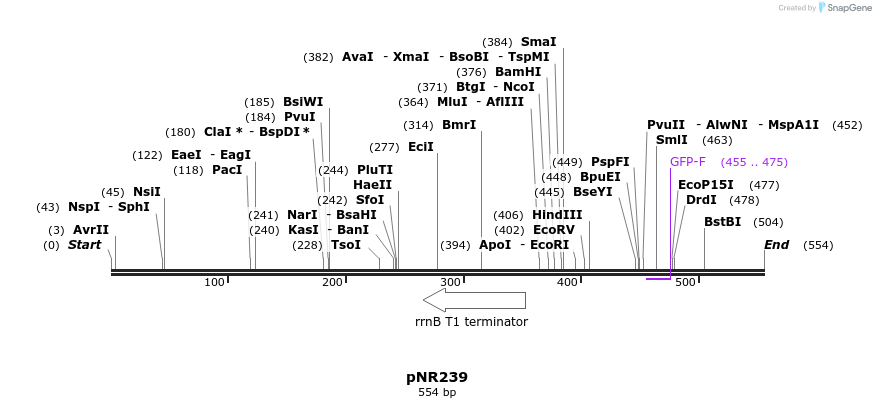 153640_map
