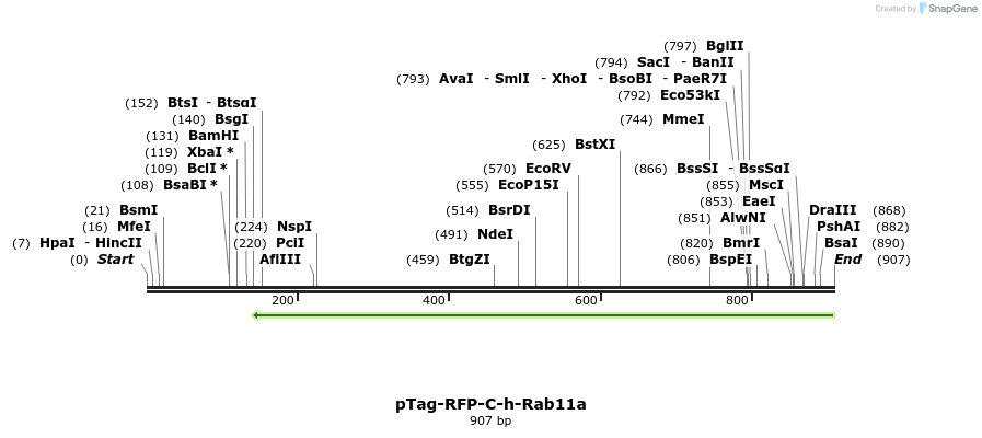153648_map