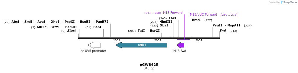 153661_map