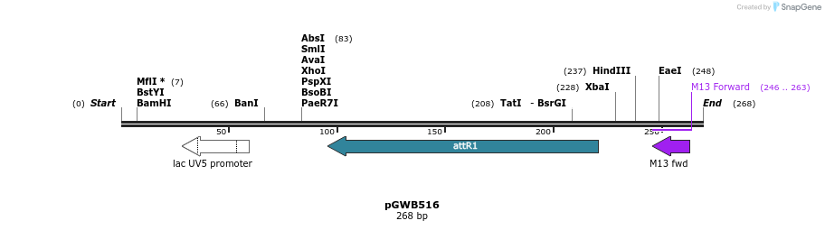 153678_map