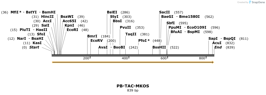 153683_map