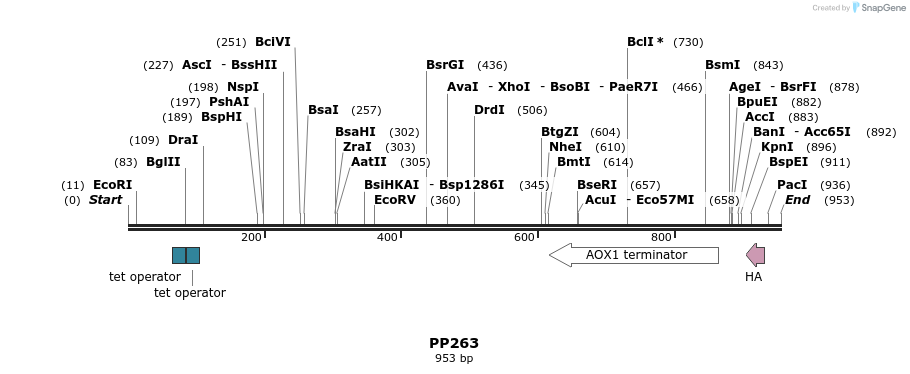 153692_map