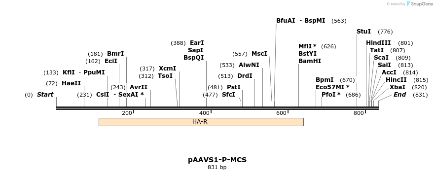 153694_map