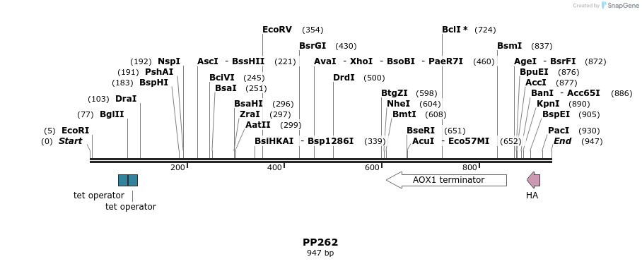 153695_map