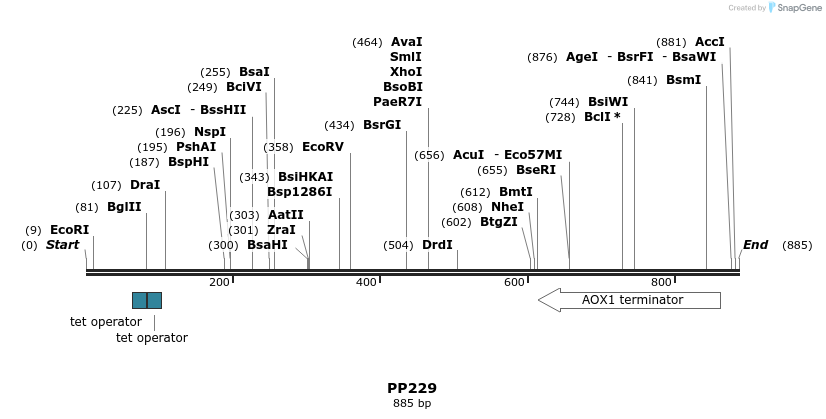 153700_map