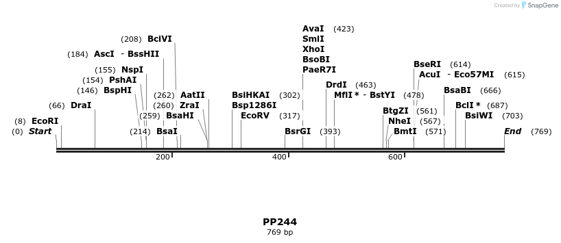 153701_map