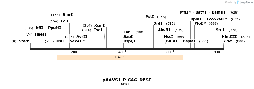 153703_map