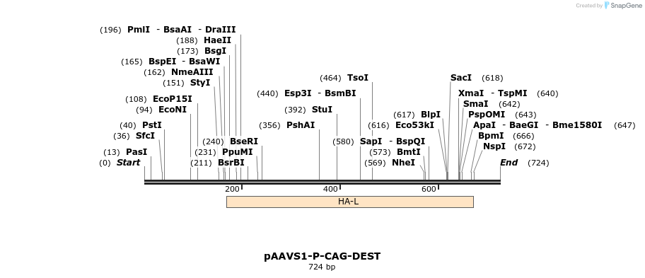 153705_map